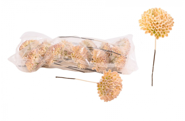 Umelý zápich sedum 15 cm (bal.12) BV07123-MIX