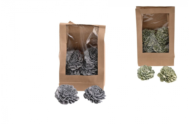 Dekoračná sušina – sušená 8 cm (1bal.) 11650 -MIX