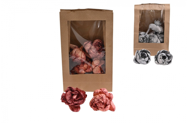 Dekoračná sušina – sušená pivónia 8 cm (1bal.) 11617 -MIX