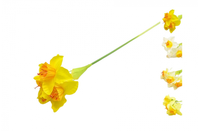 Konár narcis x 4 CV31427-MIX