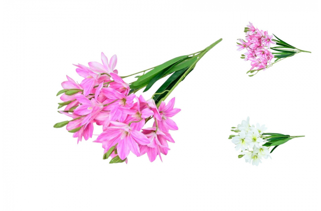 Umelá kytica ľalia x 5 CV34944 -MIX