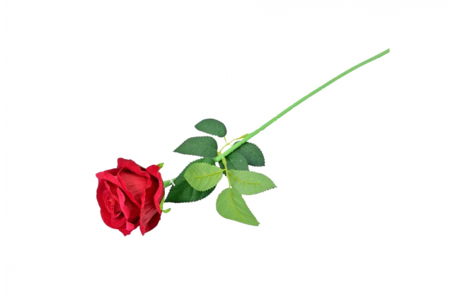 Zamatová ruža na stopke 50 cm CV34916 