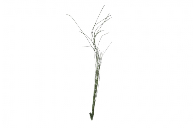 Dekoratívny umelý koreň na jarnú kompozíciu 140 cm 24KL1384 