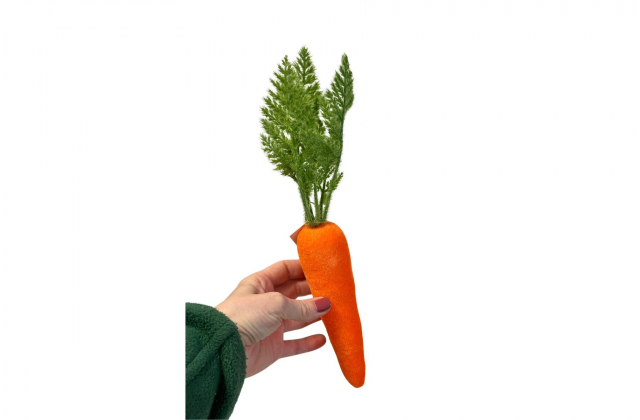 Veľká dekoračná mrkva WIPK-3-11627-24