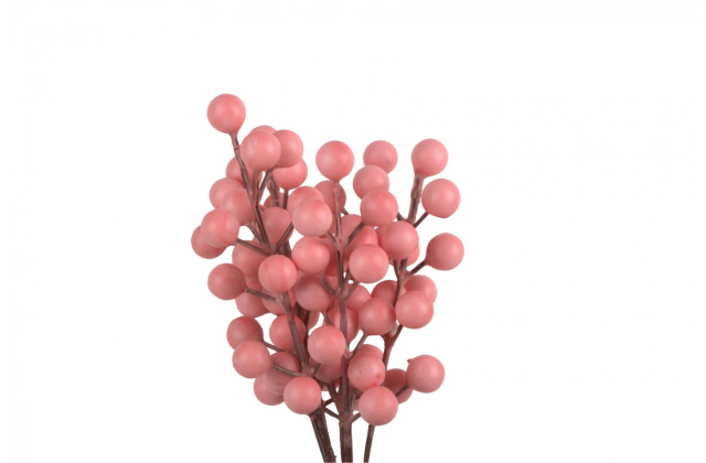 Doplnok ružové bobule zväzok ILY126