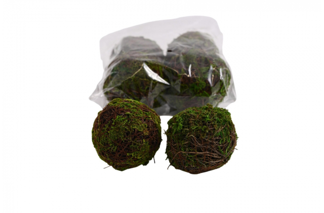 Guľa prútená s machom 7 cm (1bal.) BH201BP7 