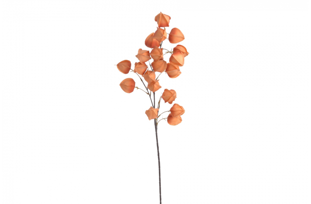 Umelý konár Physalis 100 cm 163CAN230076-F02 