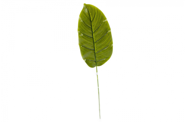 Umelý list Calathea 