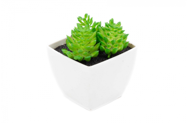 Umelý sukulent v kvetináči A5306 